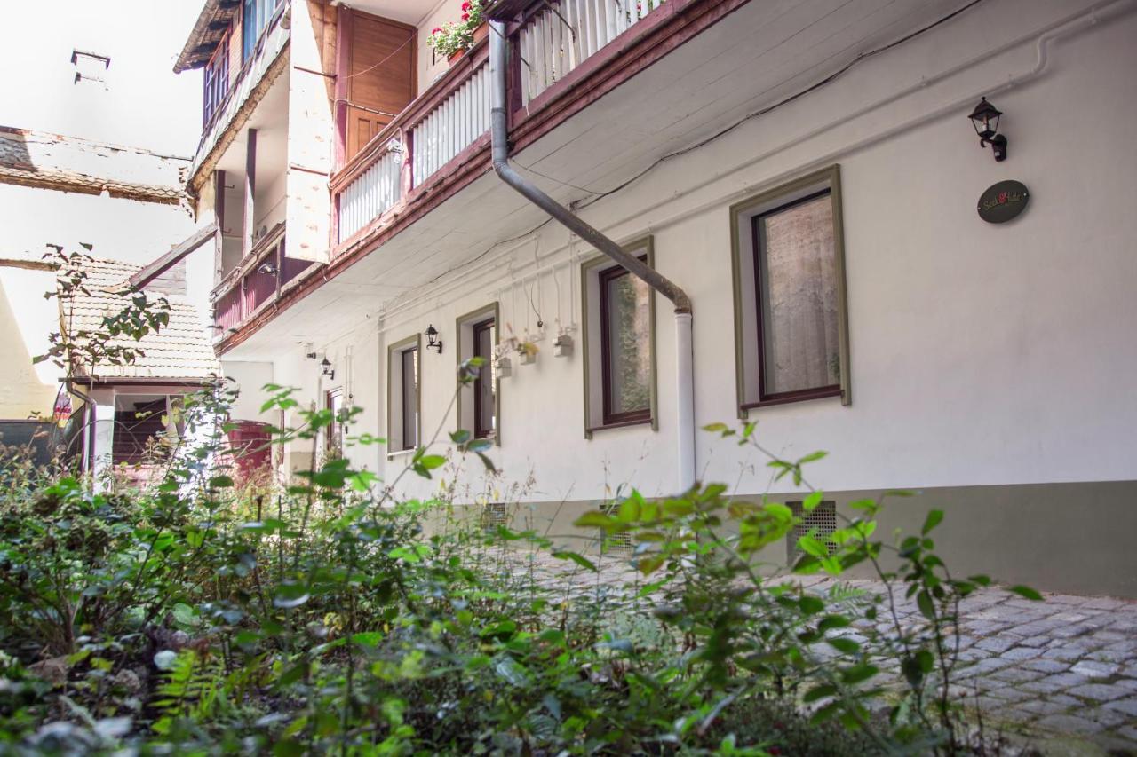 Seek And Hide - Csilla'S Tiny Hideaway Brasov Exterior photo